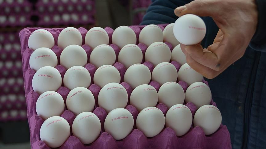Yumurtada Fiyat Şoku: 9 Ayda İkiye Katlandı - Sayfa 3