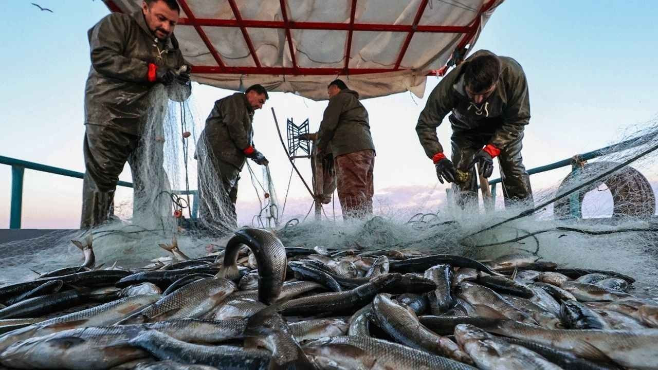 Balıkçılıkta Rekor: Av Sezonu Balıkçının Yüzünü Güldürdü - Sayfa 4