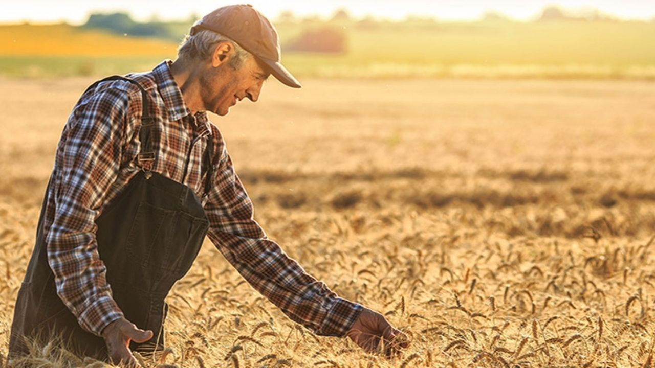 Güneydoğu, Türkiye Hububat İhracatının Yüzde 29’unu Karşıladı - Sayfa 3