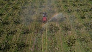 Zirai Don Bursa Ovası'nda Armut Ve Şeftaliyi Teğet Geçti - Sayfa 6