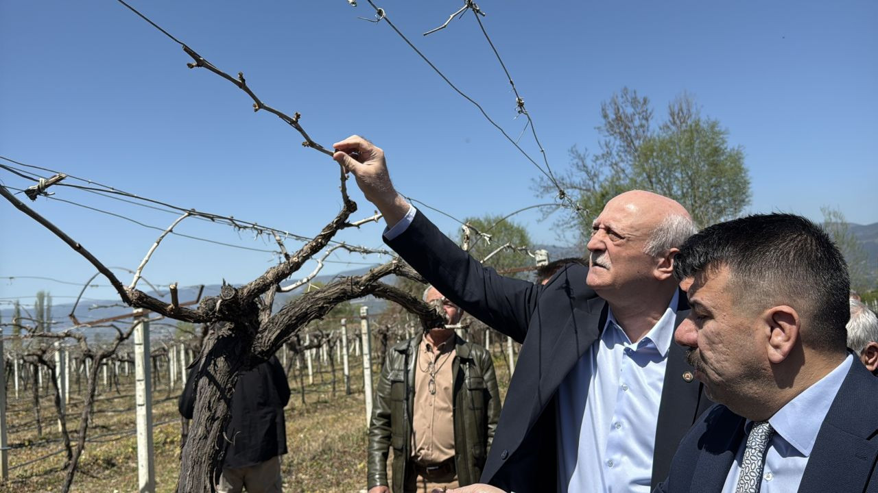 Zirai Don Faciası: 65 İlde Zarar Var, TZOB Başkanı Uyardı! - Sayfa 3