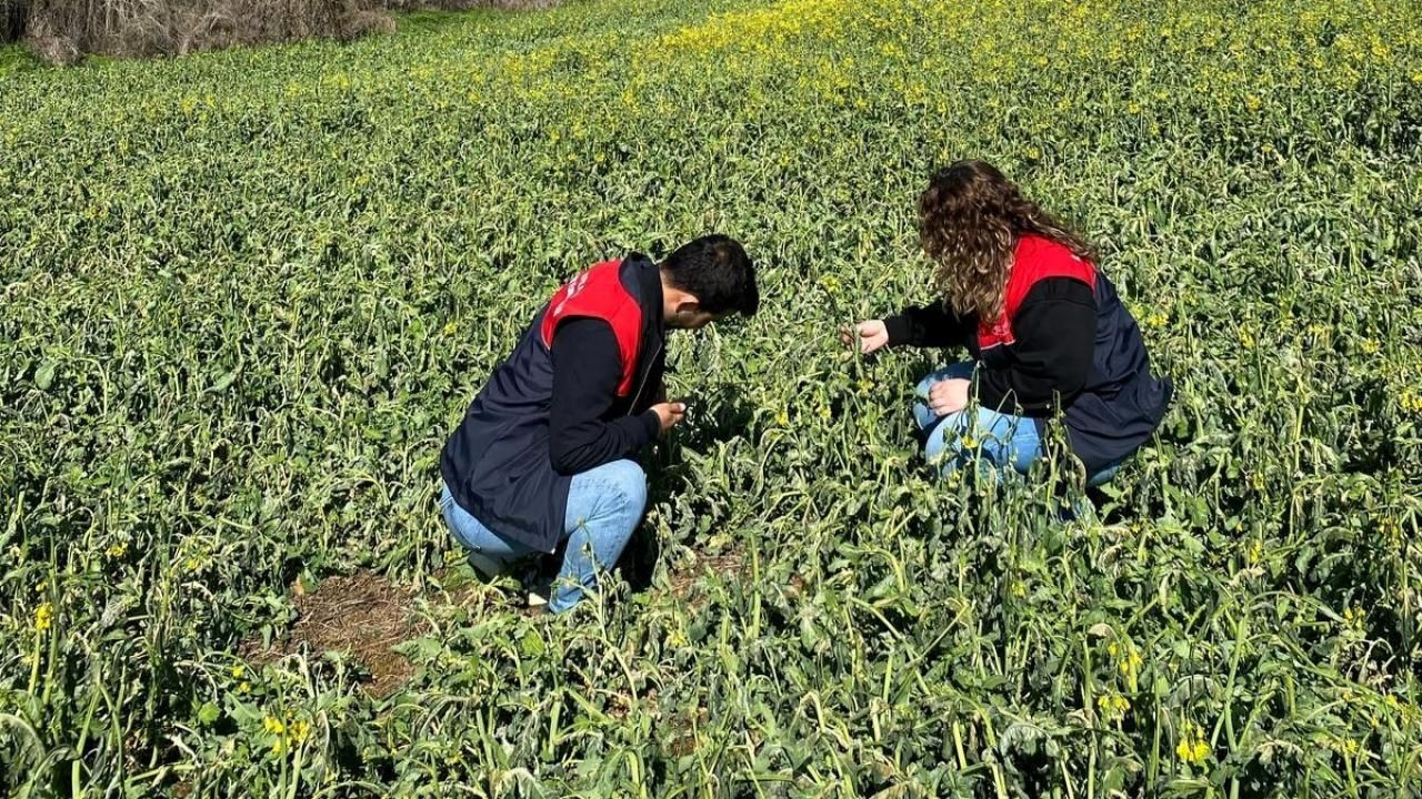 Zirai Don Meclis Gündeminde: Araştırma Komisyonu Kuruluyor - Sayfa 4