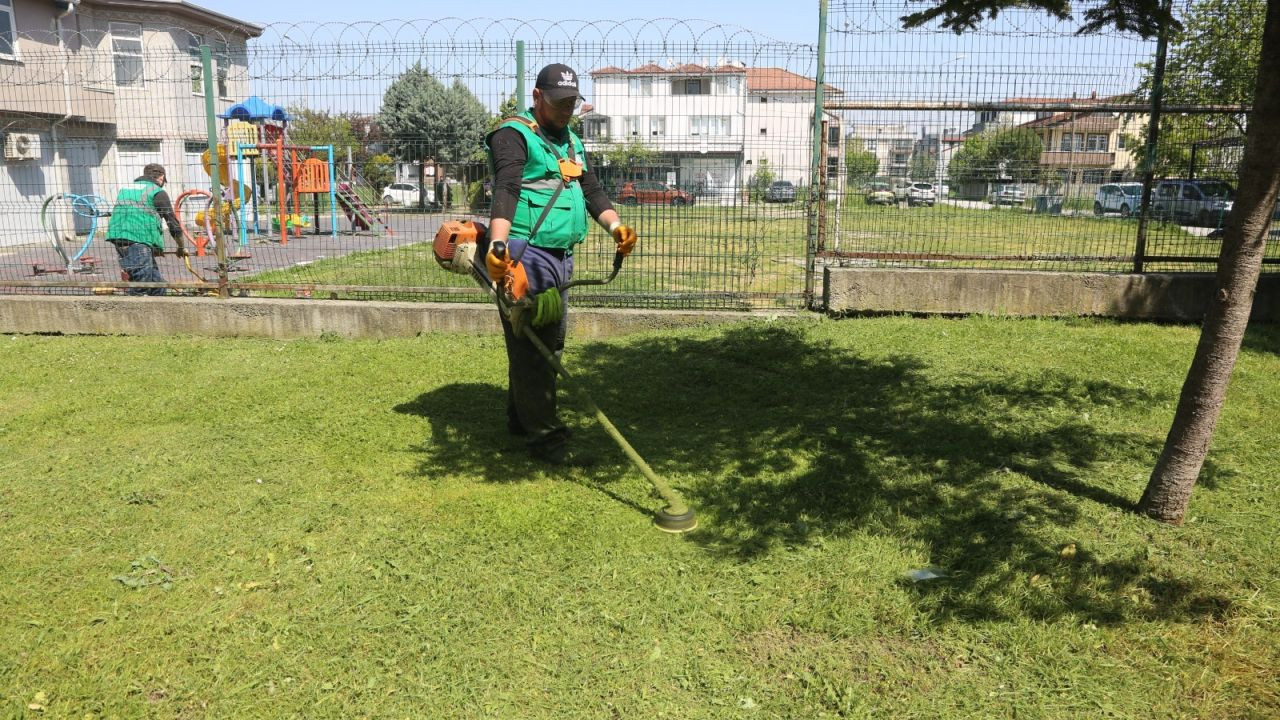 Serdivan’da Yeşil Dokunuş: Vatan Mahallesi'nde Estetik Dönüşüm - Sayfa 3