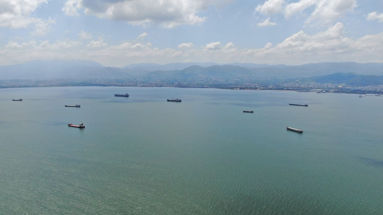 Kocaeli'de Caretta Caretta Rotayı Şaşırdı - Sayfa 1