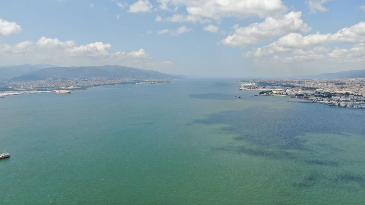 Kocaeli'de Caretta Caretta Rotayı Şaşırdı - Sayfa 4