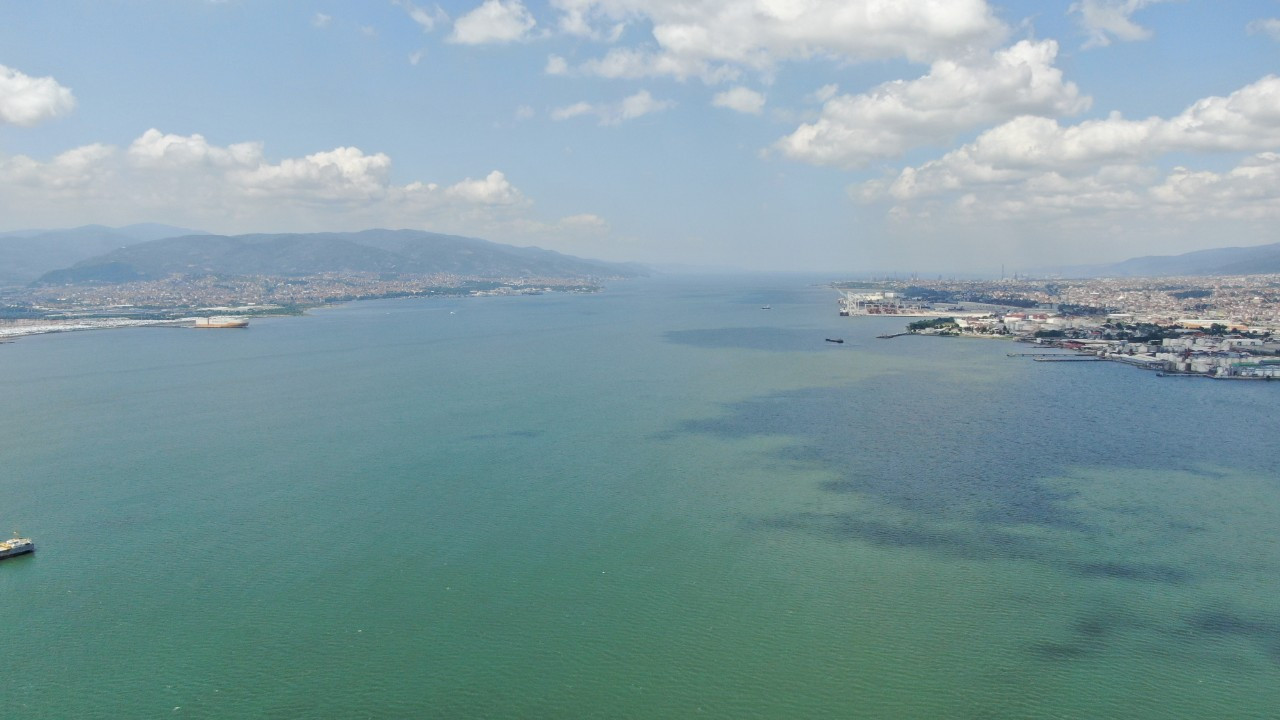 Kocaeli'de Caretta Caretta Rotayı Şaşırdı