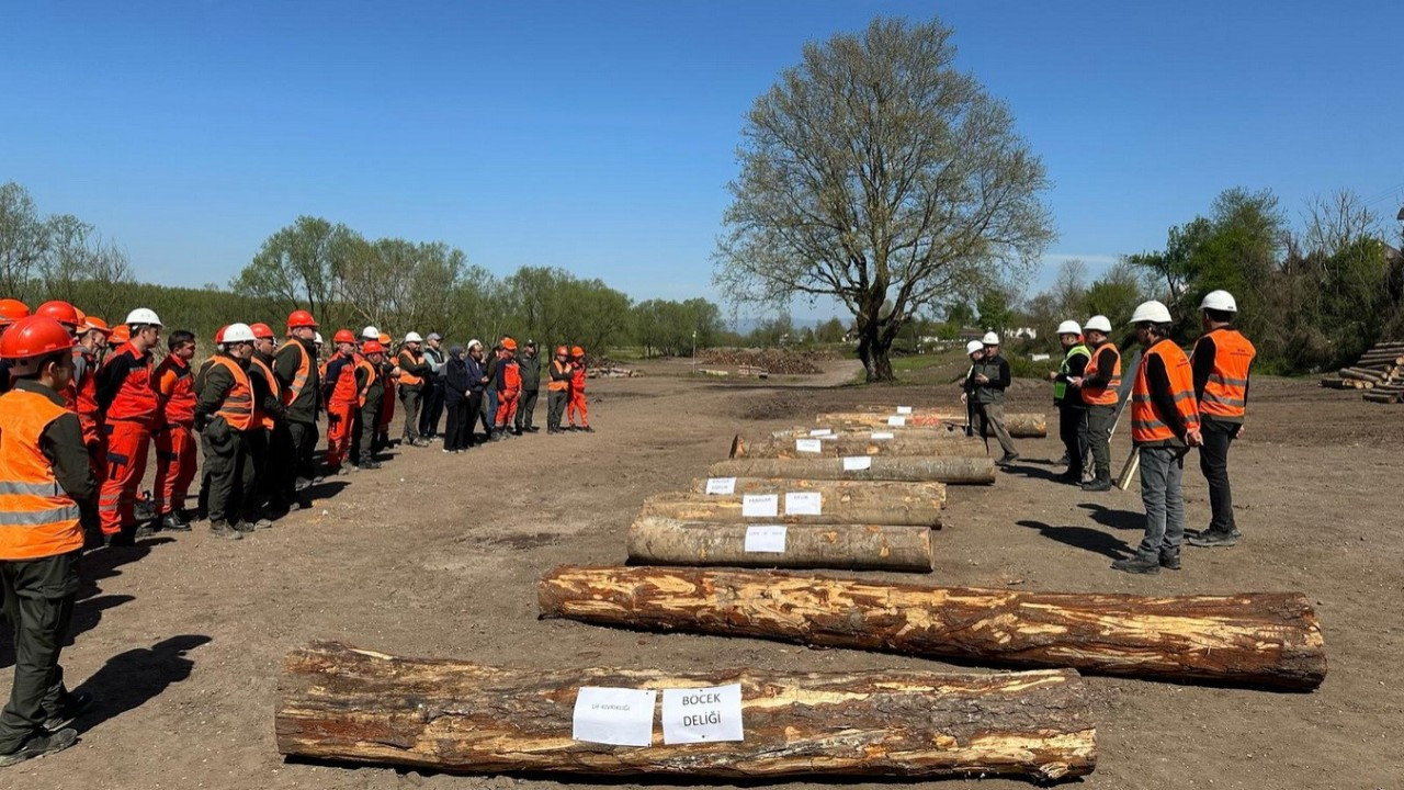 Düzce'de Ormanda Tatbikat
