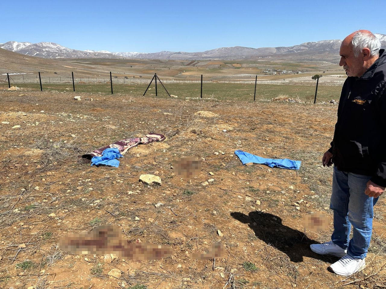 Kayseri'de Başıboş Köpeklerin Saldırdığı Yaşlı Adam Hayatını Kaybetti - Sayfa 2