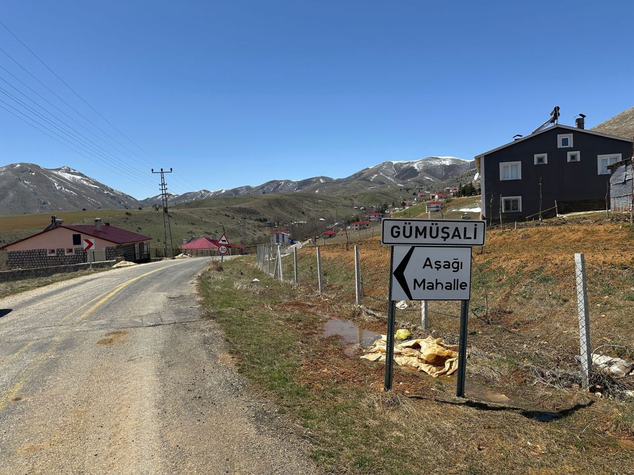 Kayseri'de Başıboş Köpeklerin Saldırdığı Yaşlı Adam Hayatını Kaybetti - Sayfa 4