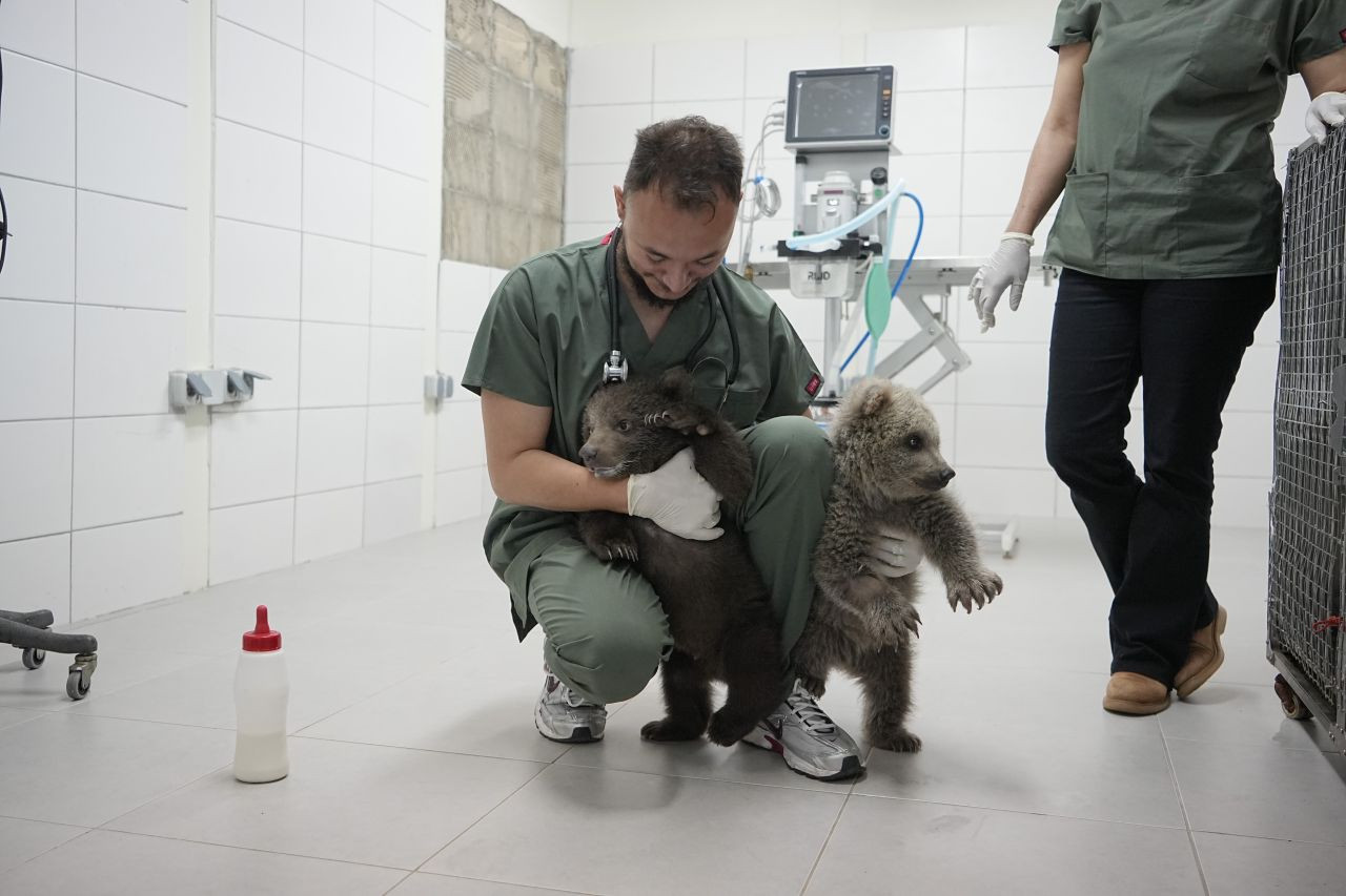 Sevimli Yavru Ayılar Güvenli Yuvalarına Yerleştirildi - Sayfa 4