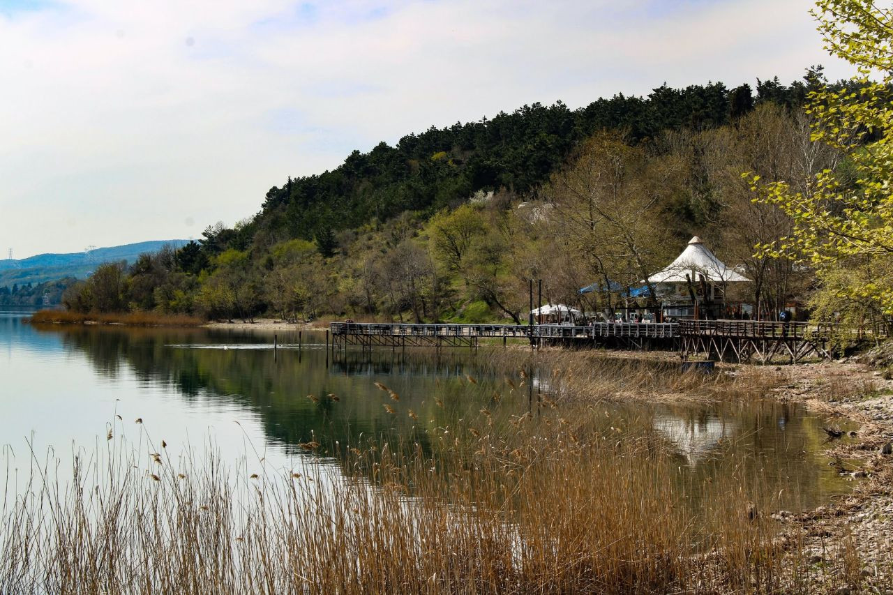 Türkiye’nin Yeni Turizm Hazinesi: Serdivan Sahneye Çıkıyor - Sayfa 8