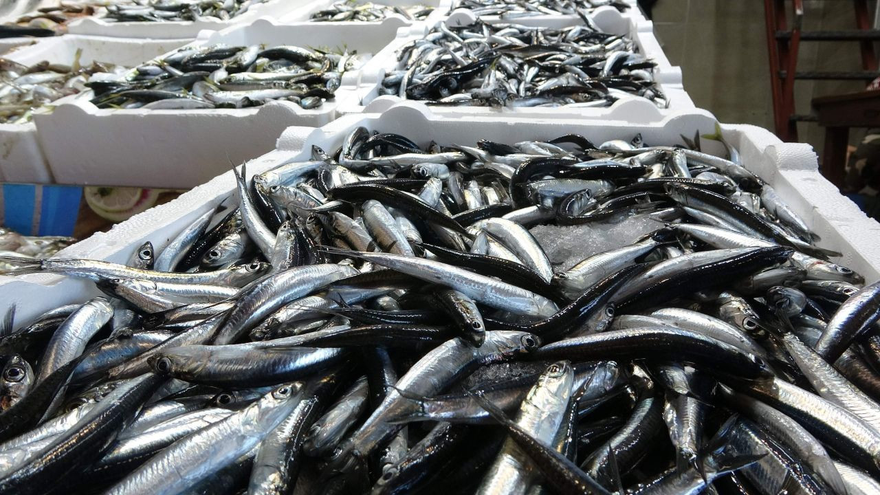 20 Ülkeye Hamsi İhracatından 9 Milyon Doların Üzerinde Döviz Geliri - Sayfa 1