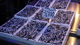 20 Ülkeye Hamsi İhracatından 9 Milyon Doların Üzerinde Döviz Geliri - Sayfa 5