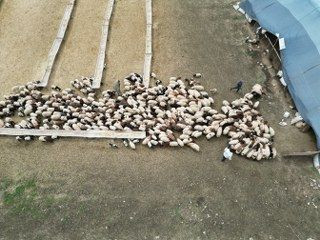 'Cehennem Göçerleri', Zorlu Yayla Yolculuğuna Hazırlanıyor - Sayfa 1