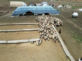 'Cehennem Göçerleri', Zorlu Yayla Yolculuğuna Hazırlanıyor - Sayfa 2