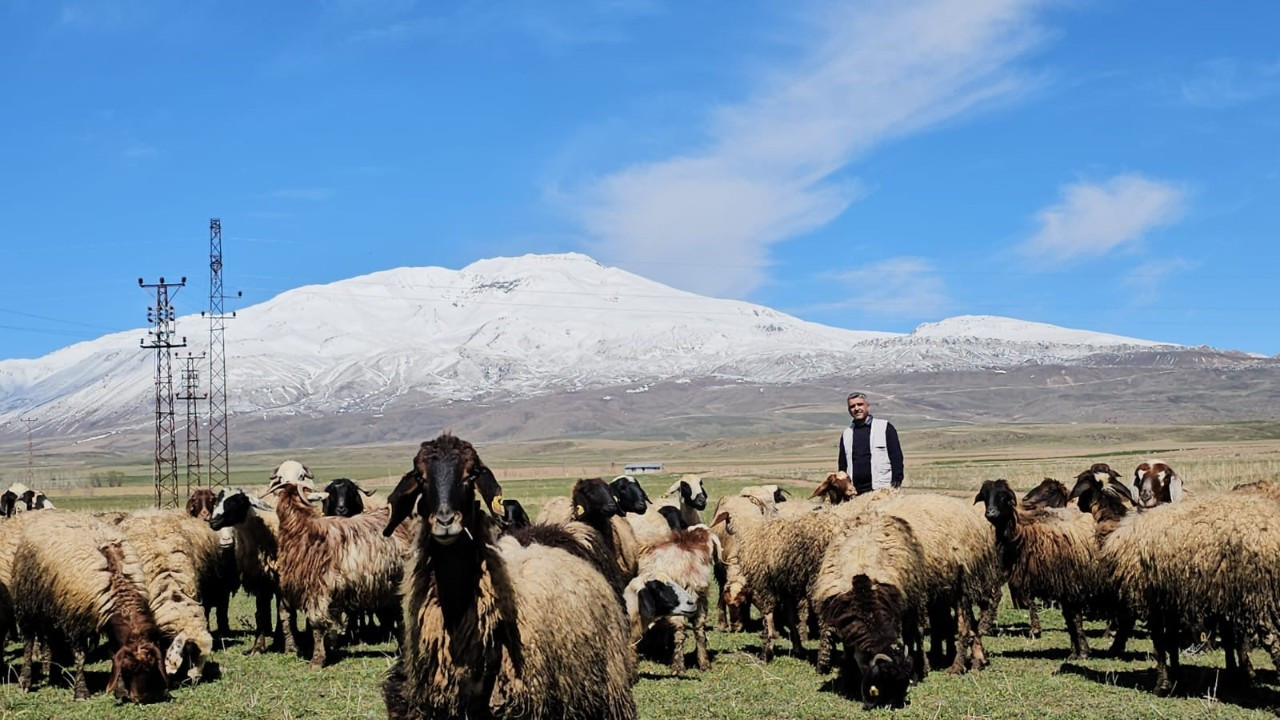Havanın Isınmasıyla Hayvan Sahipleri Rahat Nefes Aldı