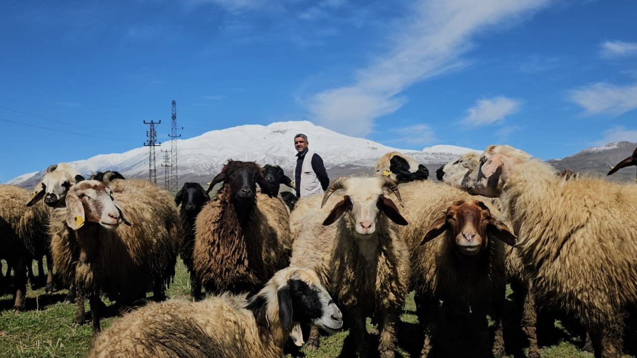 Havanın Isınmasıyla Hayvan Sahipleri Rahat Nefes Aldı - Sayfa 3