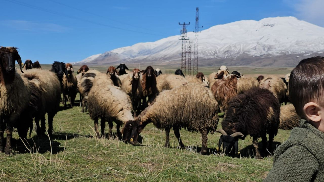 Havanın Isınmasıyla Hayvan Sahipleri Rahat Nefes Aldı - Sayfa 4