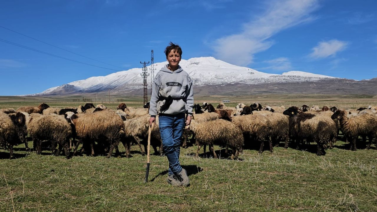 Havanın Isınmasıyla Hayvan Sahipleri Rahat Nefes Aldı - Sayfa 6