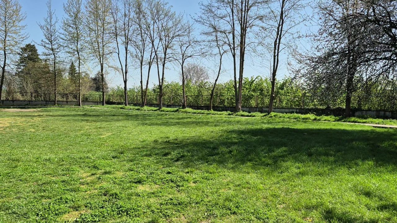 Düzce'de Okula Karaca Girdi - Sayfa 6