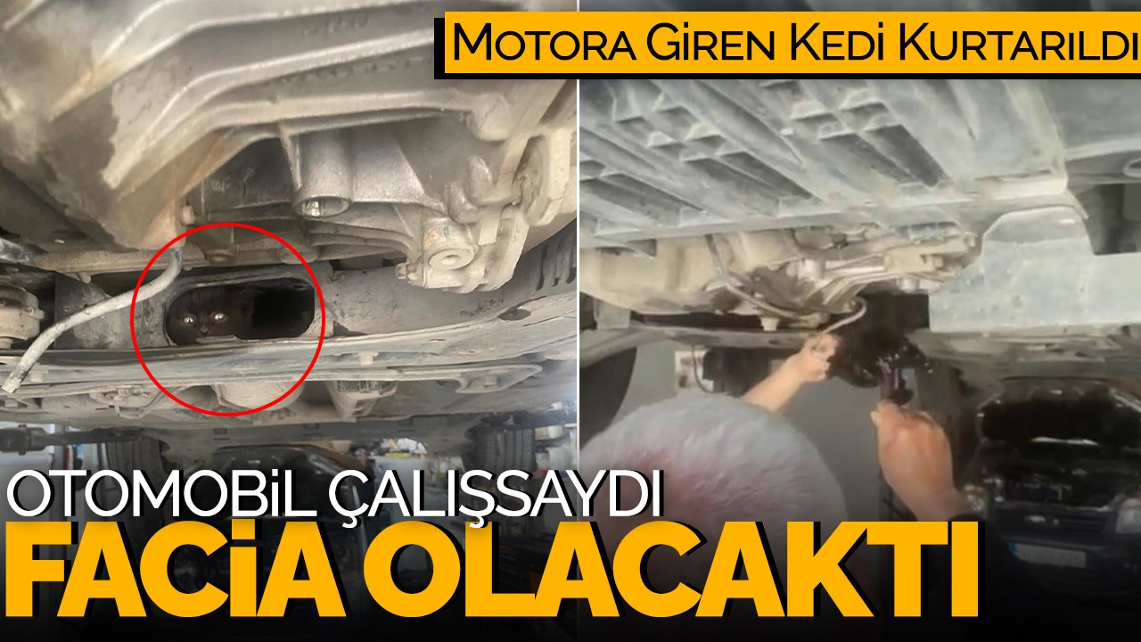 Otomobil Çalışsaydı Facia Olacaktı! Motora Giren Kedi Kurtarıldı