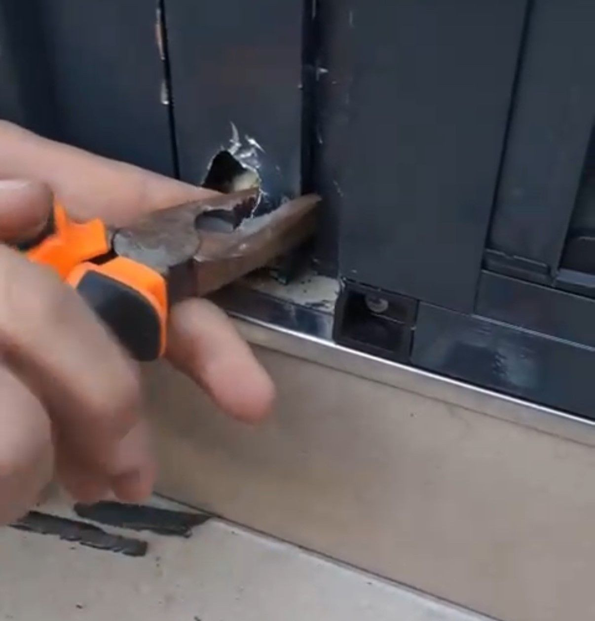 Düzce'de Pervaza Sıkışan Muhabbet Kuşu Kurtarıldı - Sayfa 2