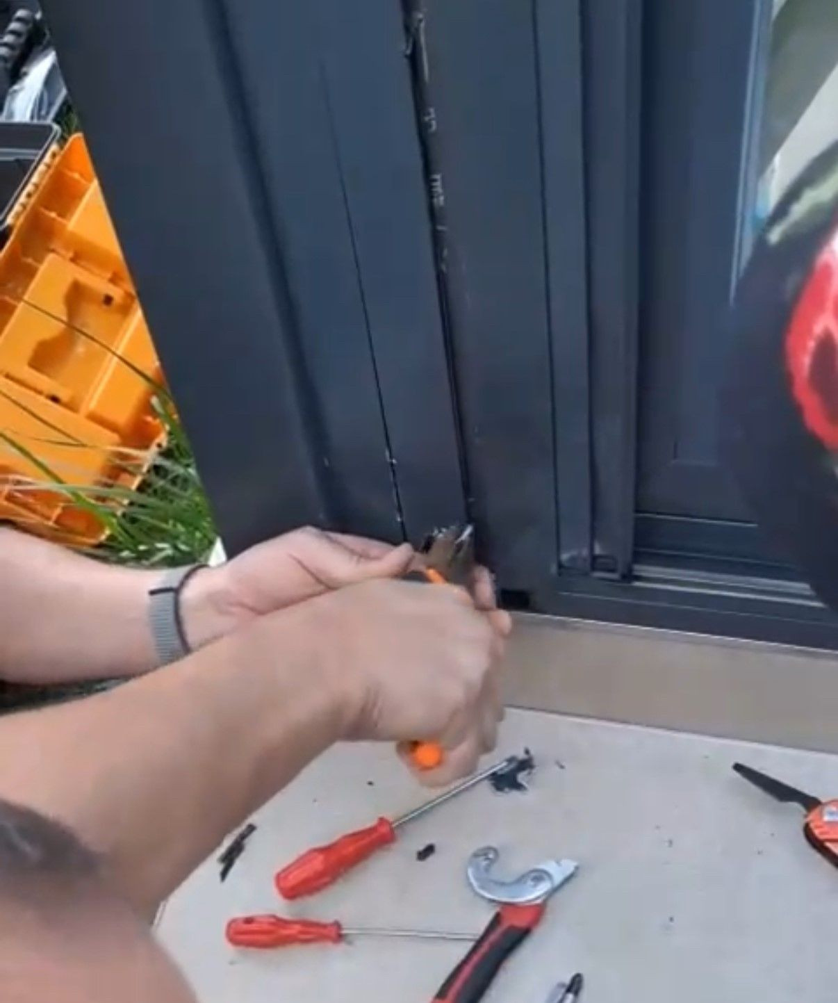 Düzce'de Pervaza Sıkışan Muhabbet Kuşu Kurtarıldı - Sayfa 3