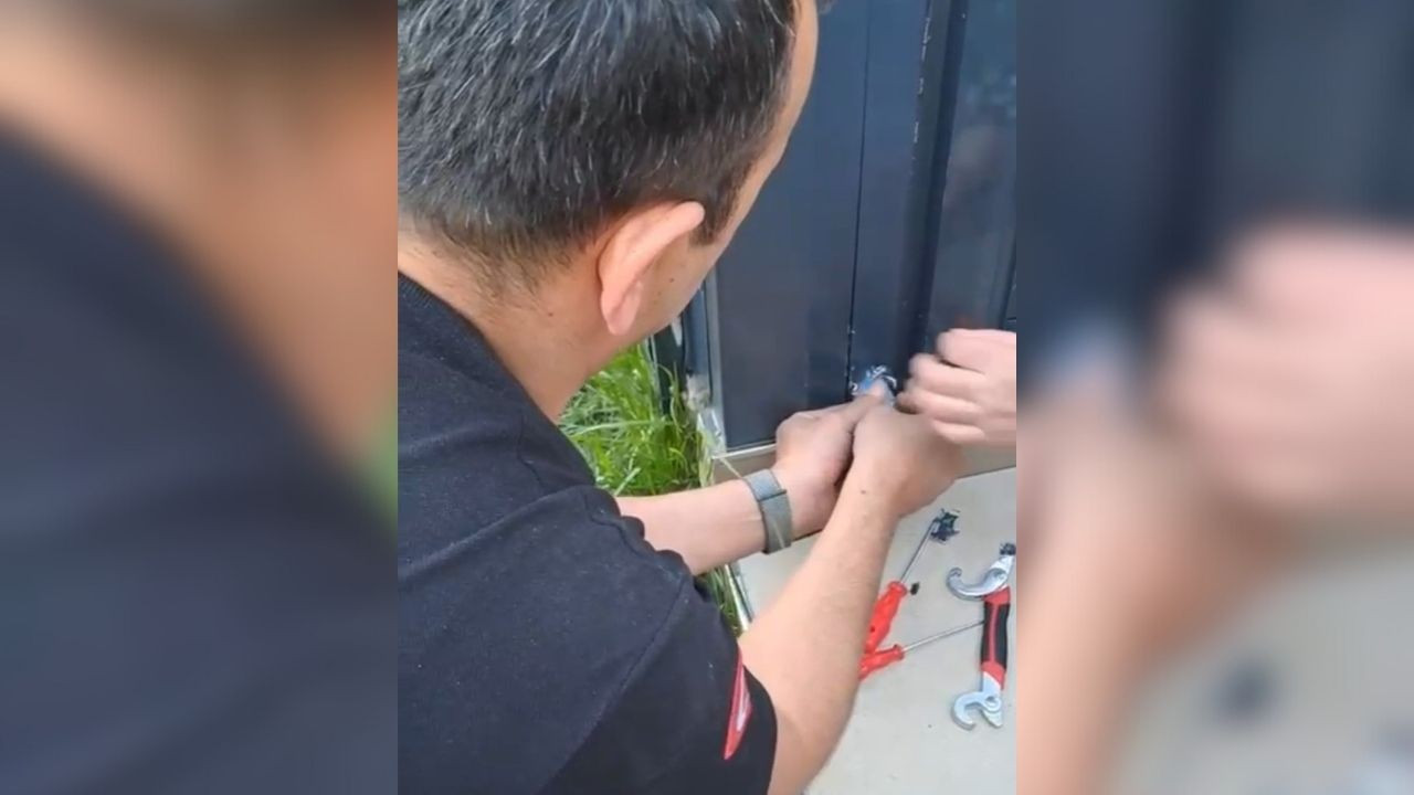 Düzce'de Pervaza Sıkışan Muhabbet Kuşu Kurtarıldı