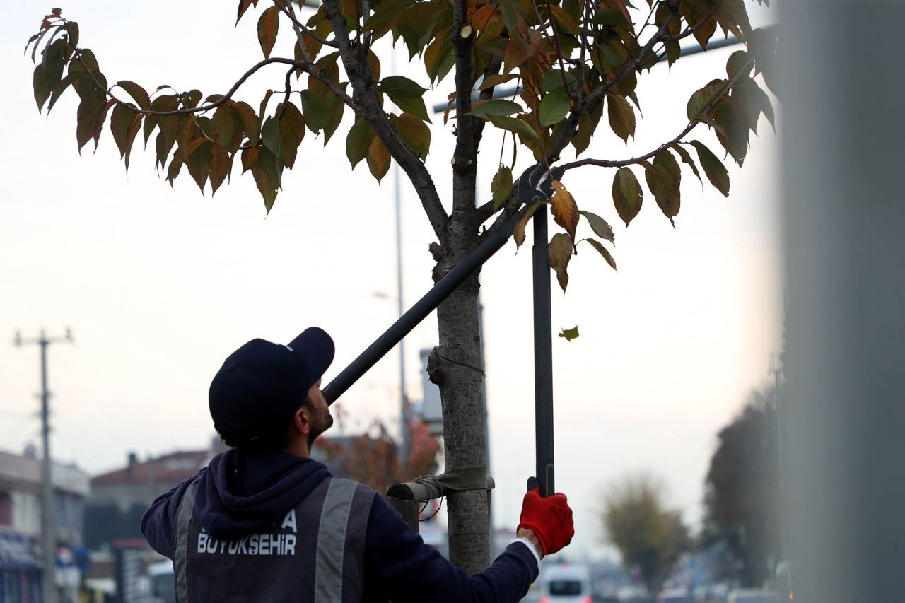 Büyükşehir Belediyesi’nden Şehrin Dört Bir Yanında Yaz Hazırlığı - Sayfa 3