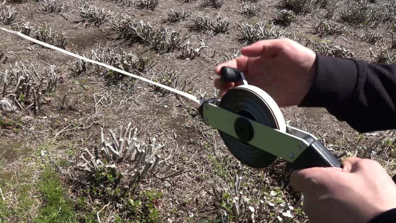 Yaş Çay Üreticileri Son Hazırlıklarını Tamamlıyor - Sayfa 3