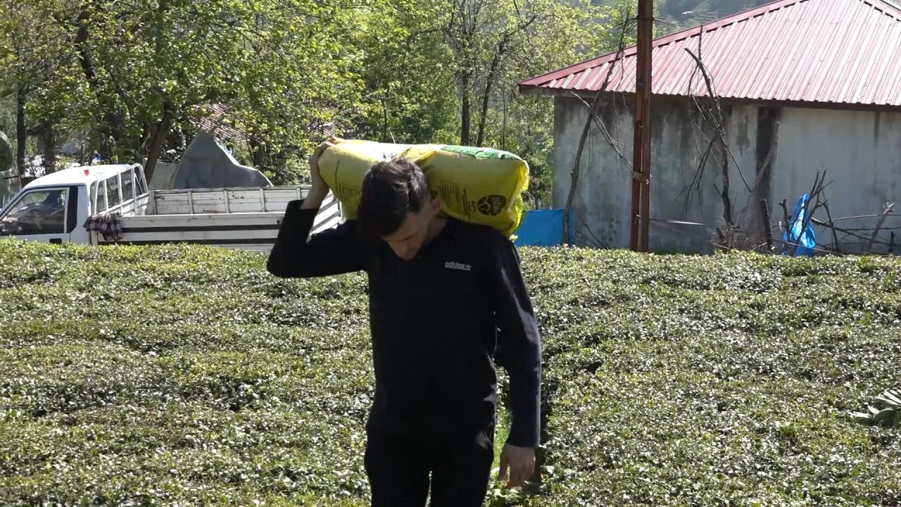 Yaş Çay Üreticileri Son Hazırlıklarını Tamamlıyor - Sayfa 5