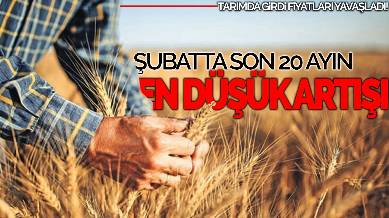 Tarımda Girdi Fiyatları Yavaşladı: Şubatta Son 20 Ayın En Düşük Artışı
