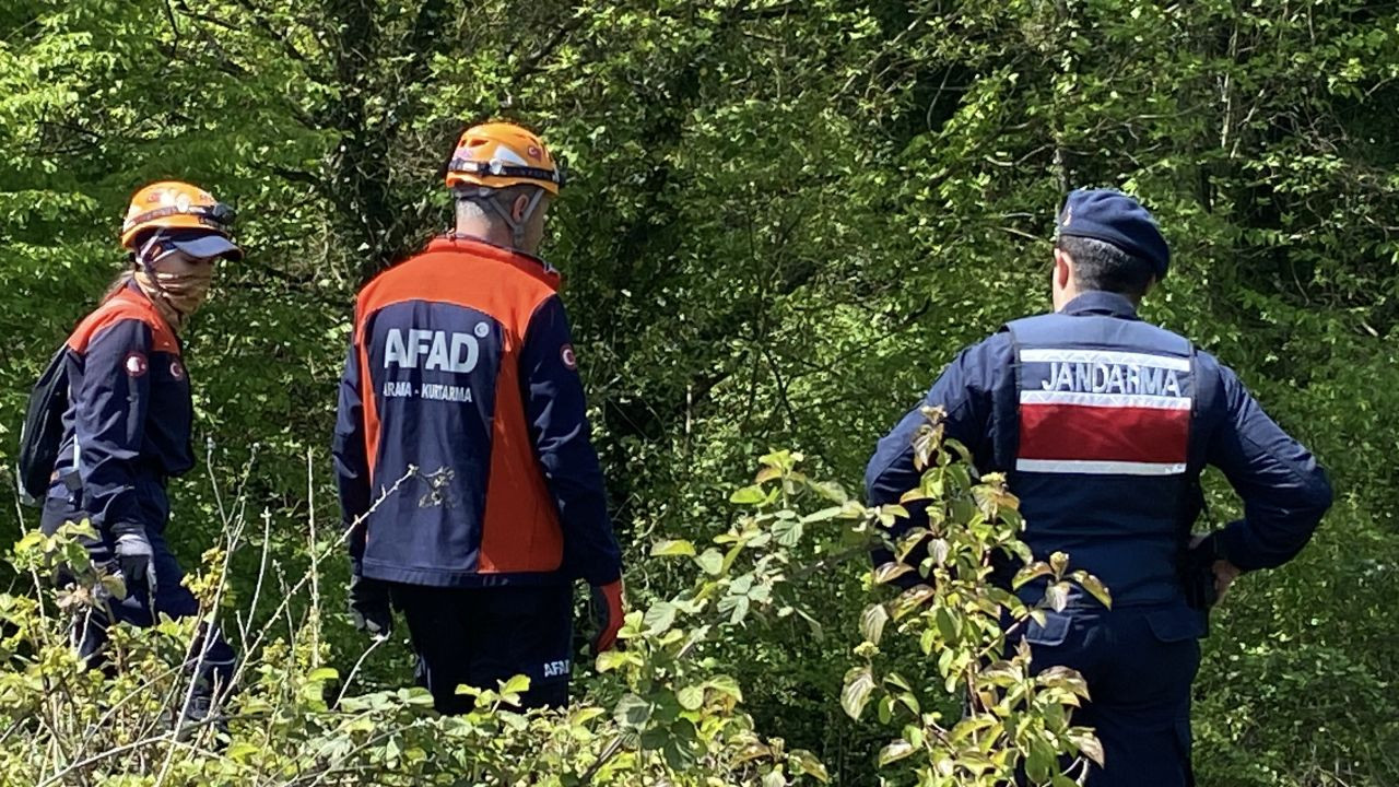 Ormana Gitti, Bir Daha Geri Dönmedi: 45 Gündür Her Yerde Onu Arıyorlar - Sayfa 1