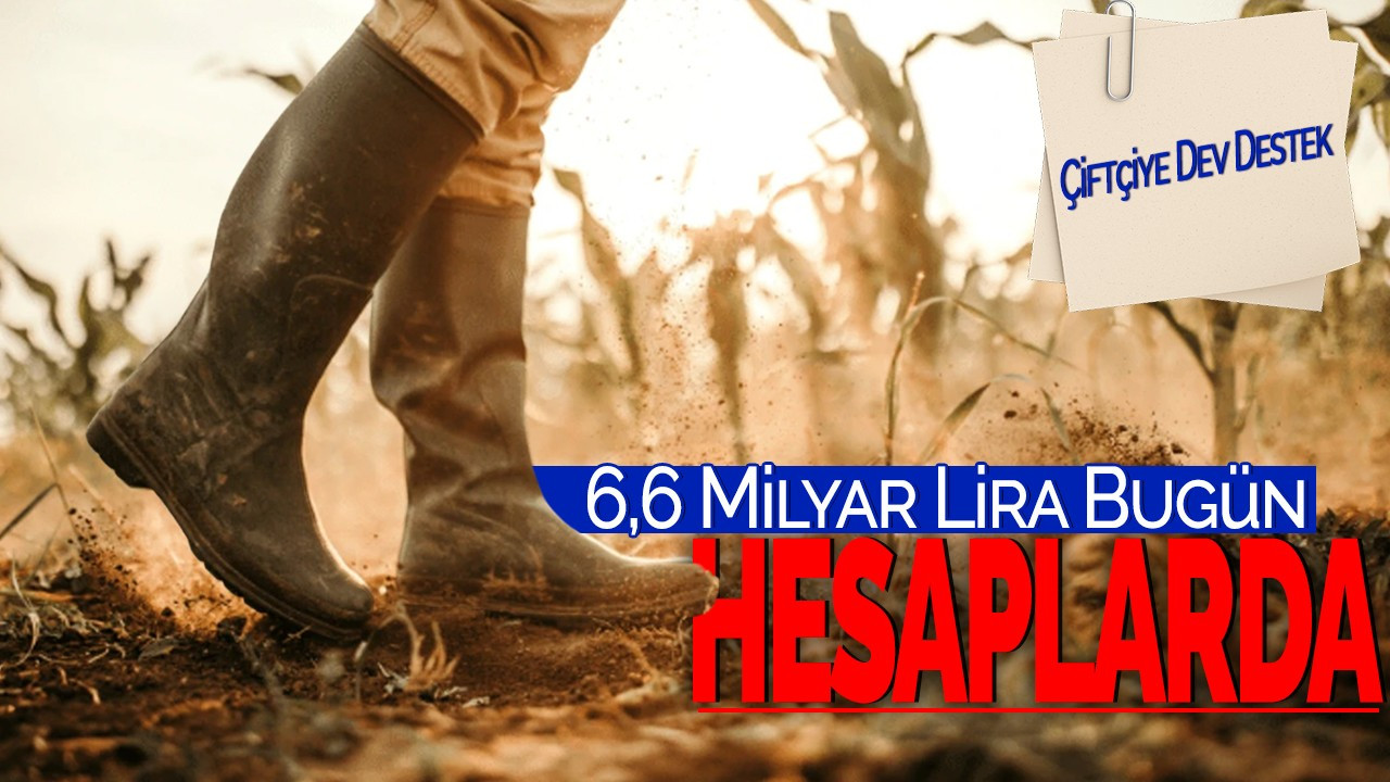 Çiftçiye Dev Destek: 6,6 Milyar Lira Bugün Hesaplarda!