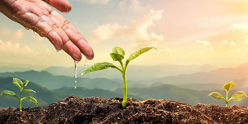 Çiftçiye Dev Destek: 6,6 Milyar Lira Bugün Hesaplarda! - Sayfa 4