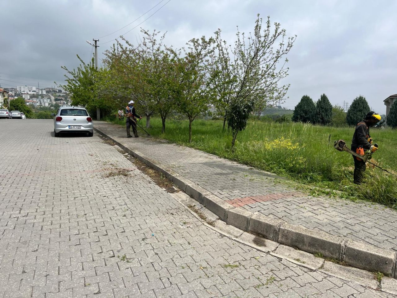 Serdivan Beşköprü’de Temizlik ve Yeşil Dokunuş! - Sayfa 2