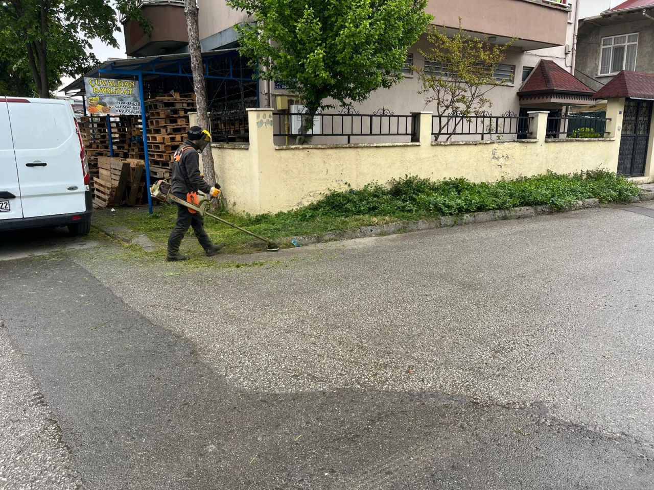 Serdivan Beşköprü’de Temizlik ve Yeşil Dokunuş! - Sayfa 4