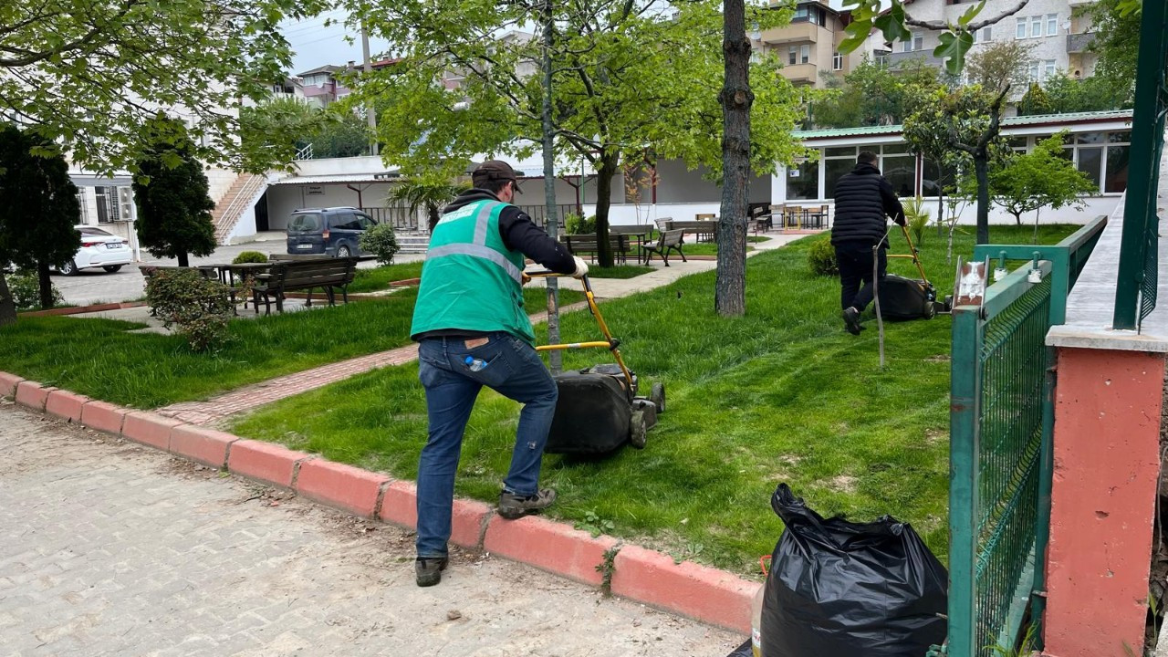 Serdivan Beşköprü’de Temizlik ve Yeşil Dokunuş!