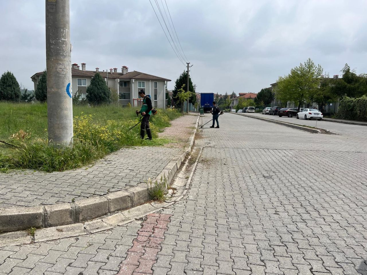 Serdivan Beşköprü’de Temizlik ve Yeşil Dokunuş! - Sayfa 3