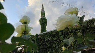 Adana'nın Botanik Bahçesi "Yeşil Cami" Sarmaşıklara Büründü - Sayfa 5