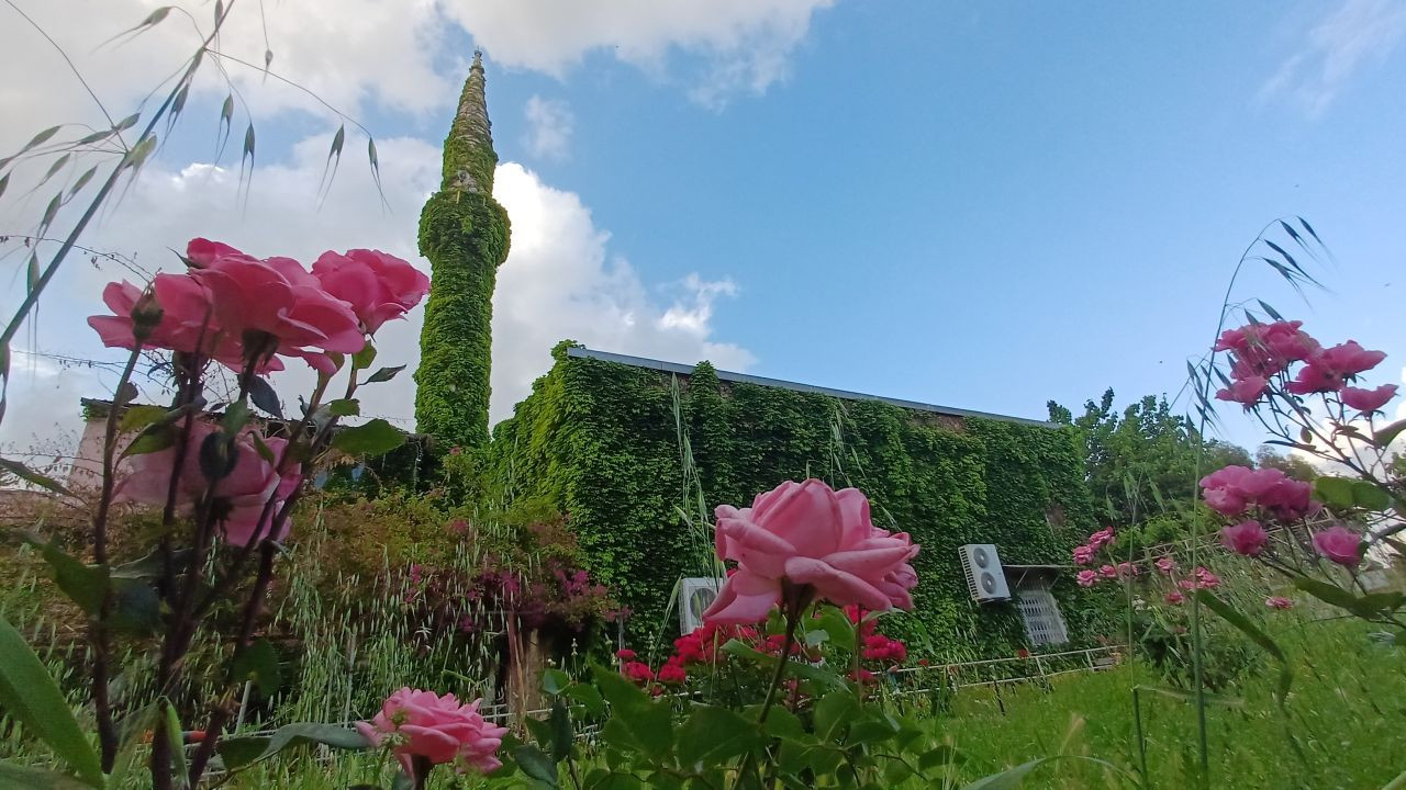 Adana'nın Botanik Bahçesi "Yeşil Cami" Sarmaşıklara Büründü - Sayfa 2
