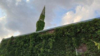 Adana'nın Botanik Bahçesi "Yeşil Cami" Sarmaşıklara Büründü - Sayfa 7