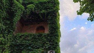 Adana'nın Botanik Bahçesi "Yeşil Cami" Sarmaşıklara Büründü - Sayfa 9