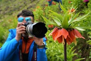 Ters Laleleri Görmek İçin 500 Kilometre Yol Geldiler Ama Dokunamadılar - Sayfa 1