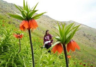 Ters Laleleri Görmek İçin 500 Kilometre Yol Geldiler Ama Dokunamadılar - Sayfa 7