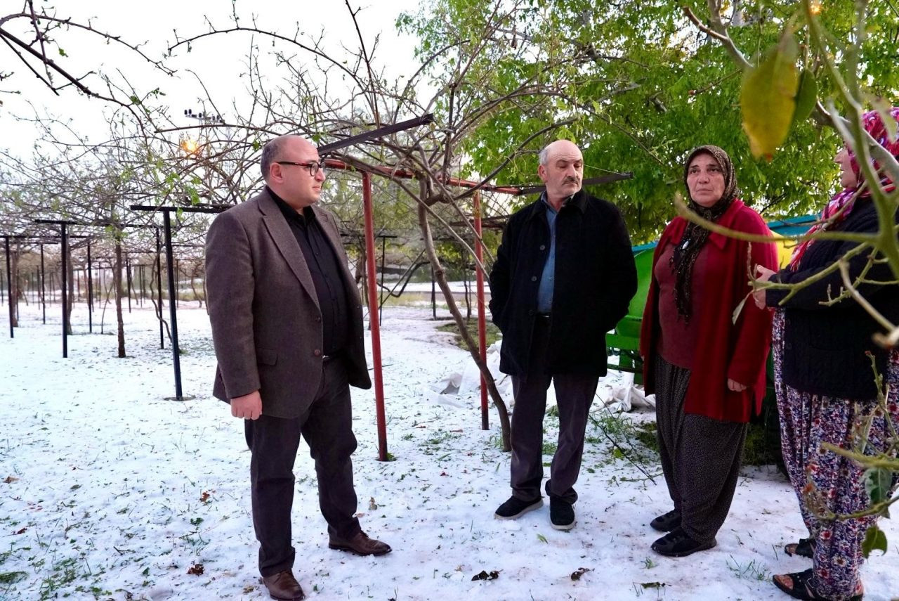 Dev Kaya Yola Düştü, Tarım Alanları Zarar Gördü - Sayfa 2