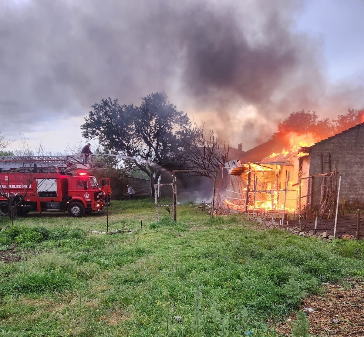 Edirne'de Arı Kovanlarının Bulunduğu Depo Alev Alev Yandı - Sayfa 1