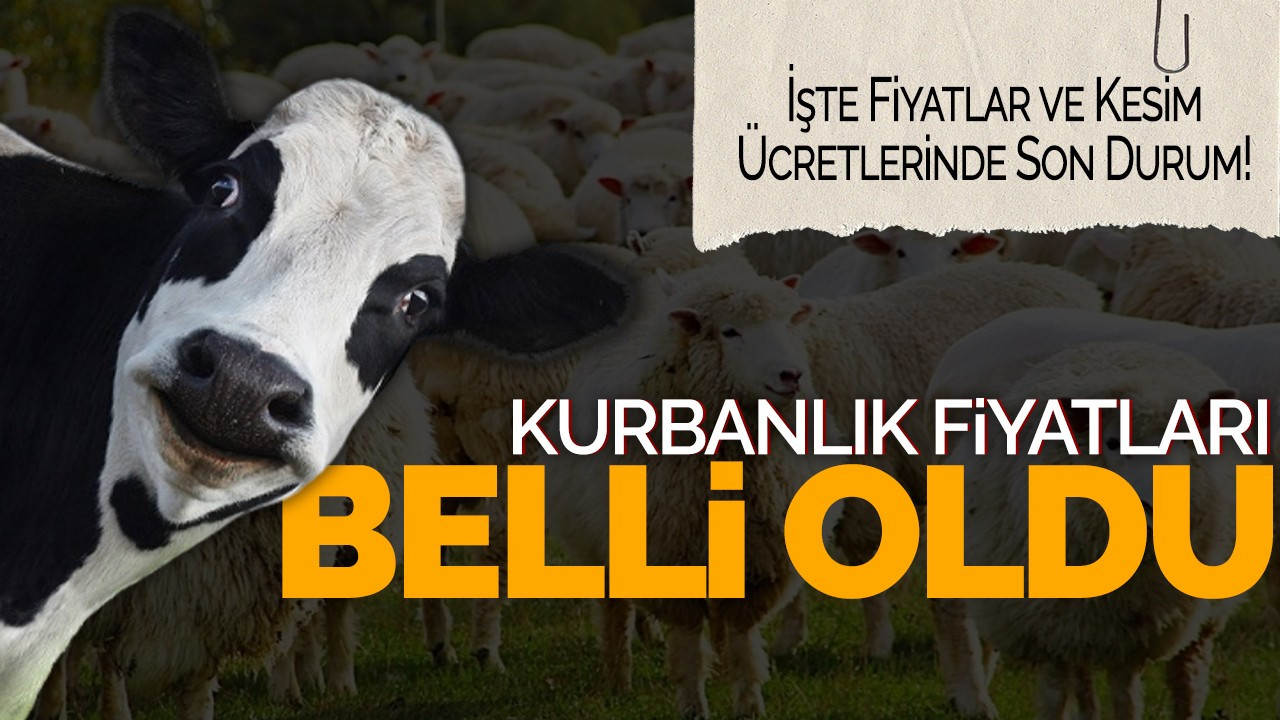 Kurbanlık Fiyatları Belli Oldu: İşte Fiyatlar ve Kesim Ücretlerinde Son Durum!