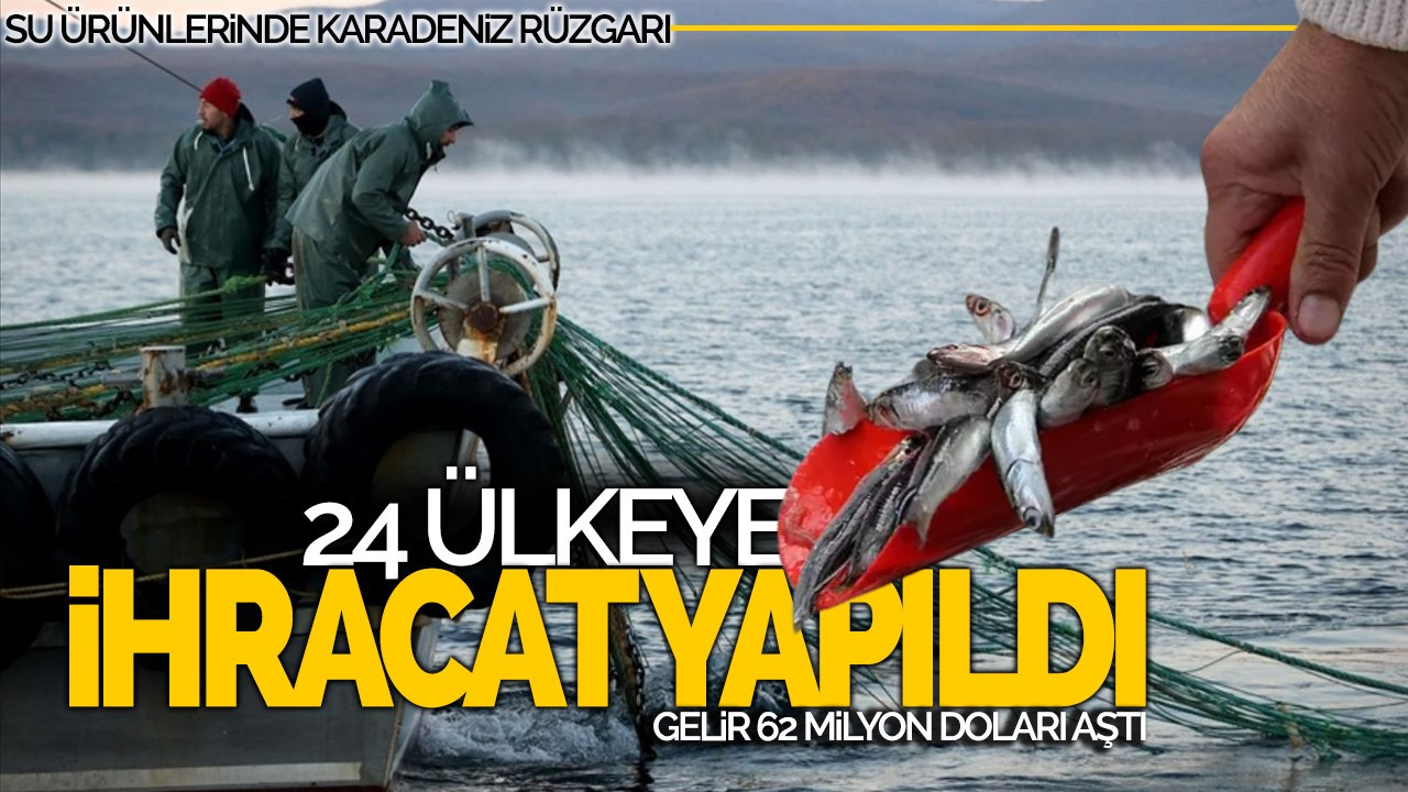 Su Ürünlerinde Karadeniz Rüzgarı: 24 Ülkeye İhracat Yapıldı