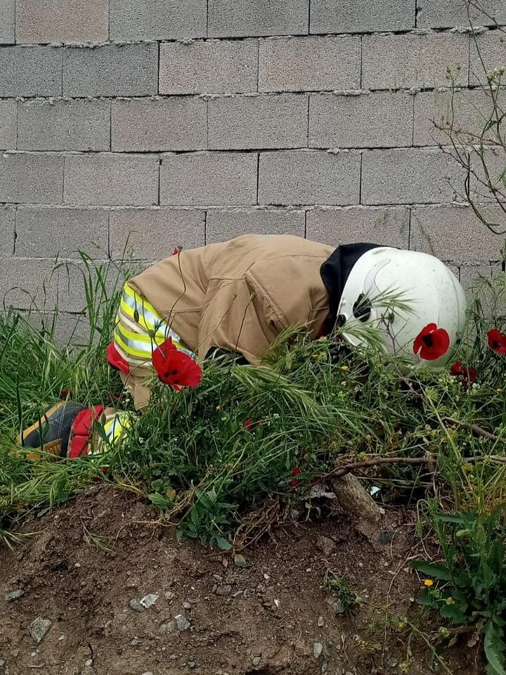 Kuyuya düşen köpeği itfaiye kurtardı - Sayfa 2